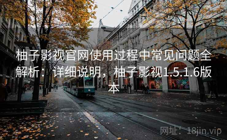 柚子影视官网使用过程中常见问题全解析：详细说明，柚子影视1.5.1.6版本