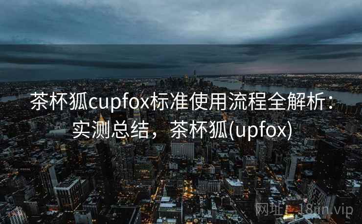 茶杯狐cupfox标准使用流程全解析：实测总结，茶杯狐(upfox)