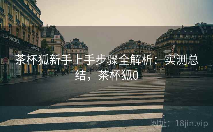 茶杯狐新手上手步骤全解析：实测总结，茶杯狐0