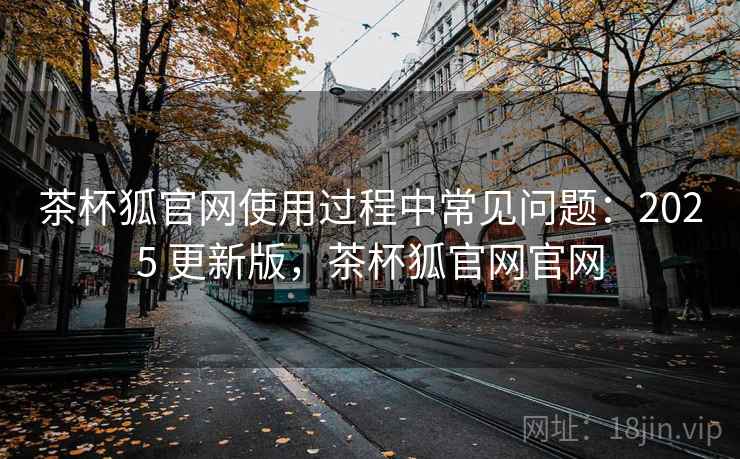 茶杯狐官网使用过程中常见问题：2025 更新版，茶杯狐官网官网